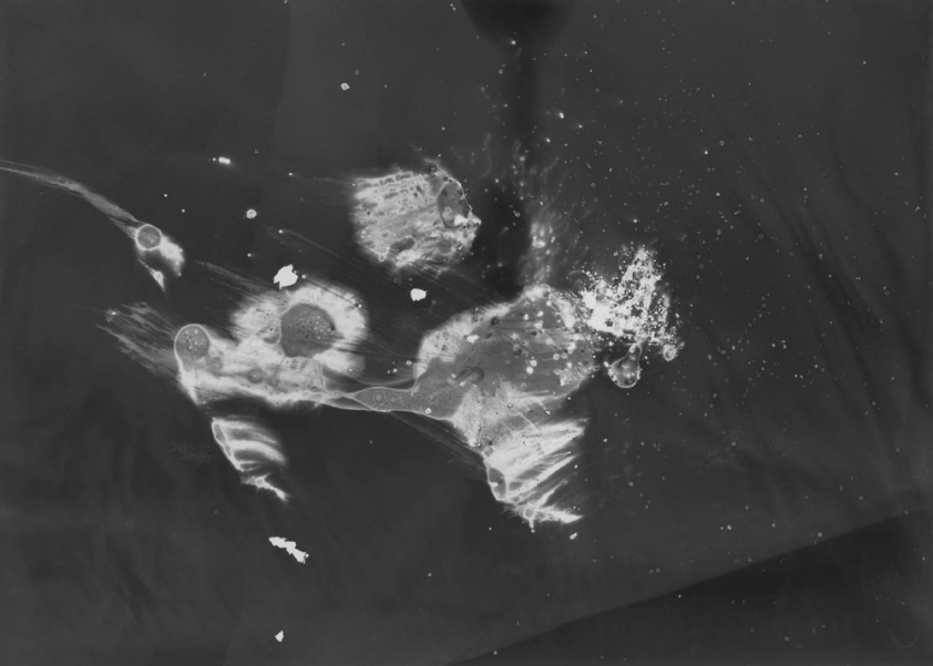 http://www.mirko-mueller.com/files/gimgs/th-6_mirkomueller-34_v2.jpg