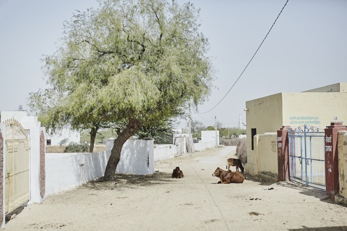 http://www.mirko-mueller.com/files/gimgs/th-20_bikaner_MG_0264.jpg